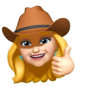 Meet your Posher, Sierra